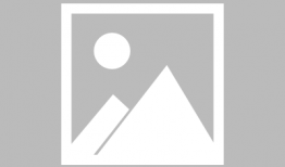 国家队动漫,国家队风采独领风骚